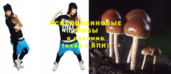 ГАЛЛЮЦИНОГЕННЫЕ ГРИБЫ Бородино